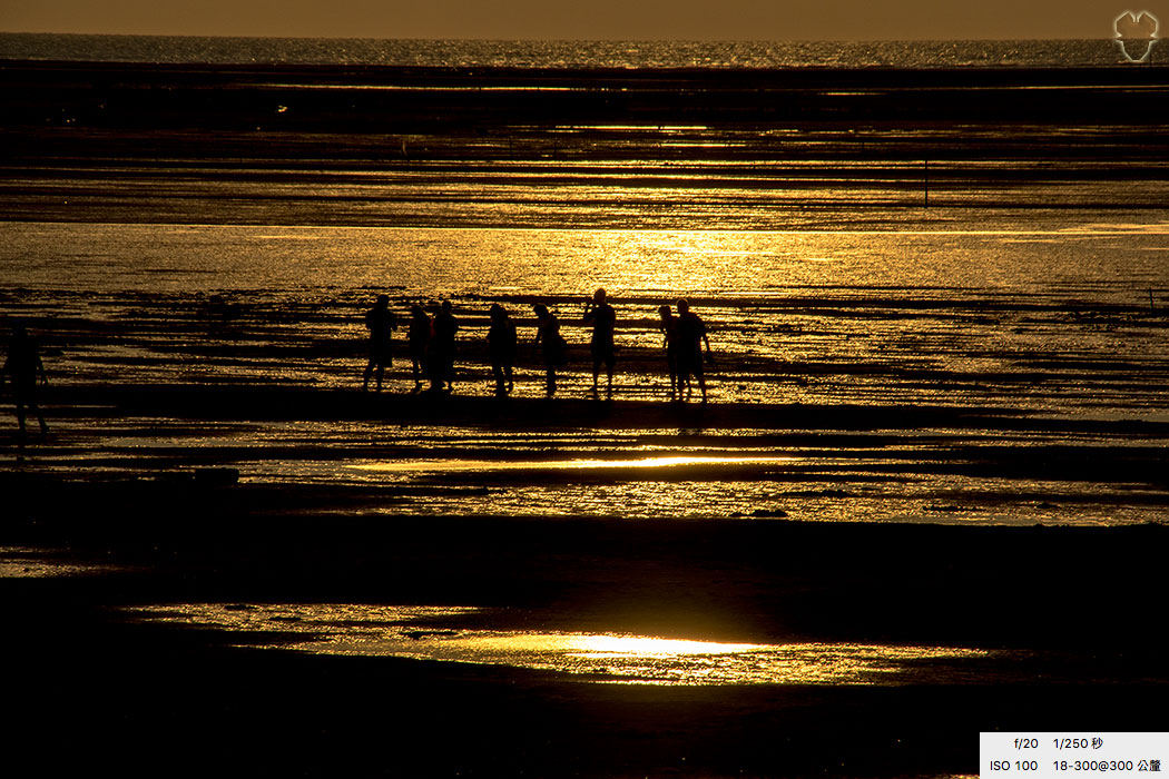 新竹海邊夕陽下的人影