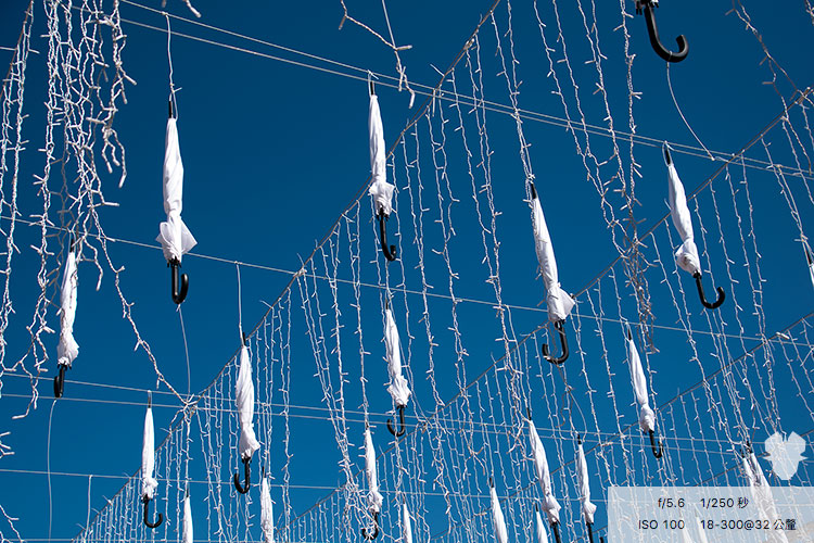 燈會的裝置藝術